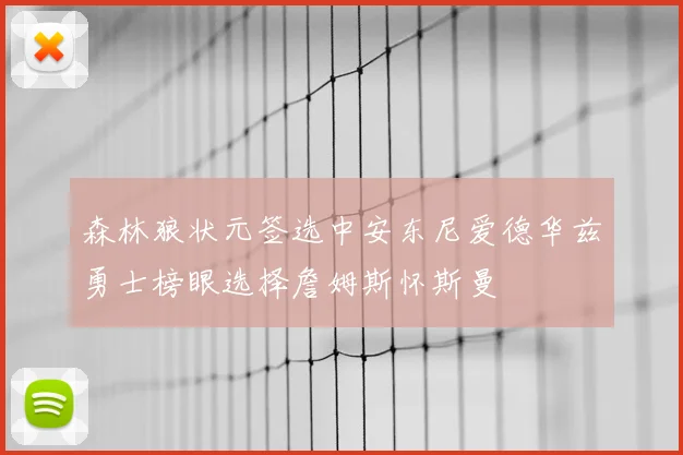 森林狼状元签选中安东尼爱德华兹勇士榜眼选择詹姆斯怀斯曼