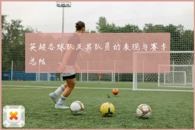 英超各球队及其队员的表现与赛季总结