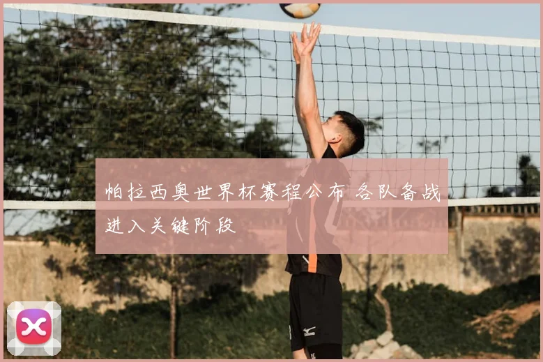 帕拉西奥世界杯赛程公布 各队备战进入关键阶段