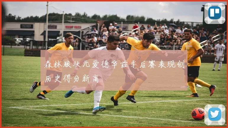 森林狼状元爱德华兹季后赛表现创历史得分新高