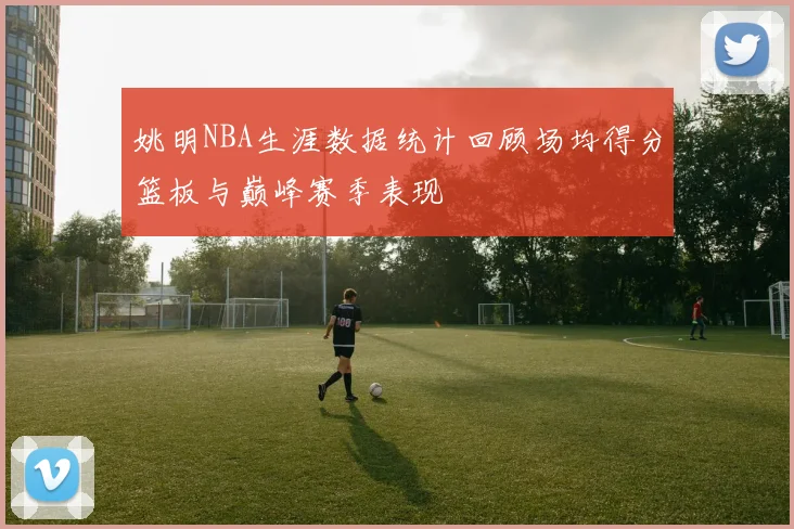 姚明NBA生涯数据统计回顾场均得分篮板与巅峰赛季表现