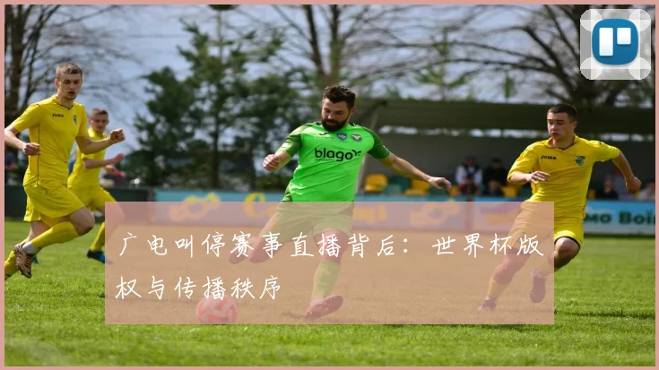 广电叫停赛事直播背后：世界杯版权与传播秩序