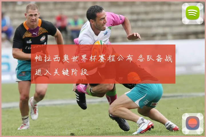 帕拉西奥世界杯赛程公布 各队备战进入关键阶段