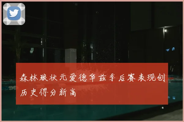 森林狼状元爱德华兹季后赛表现创历史得分新高