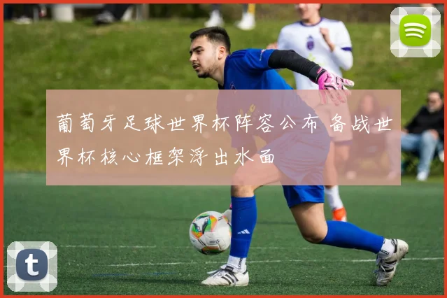 葡萄牙足球世界杯阵容公布 备战世界杯核心框架浮出水面