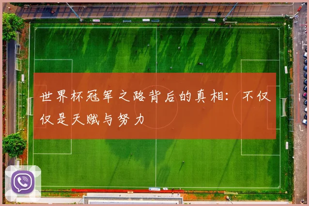世界杯冠军之路背后的真相:不仅仅是天赋与努力