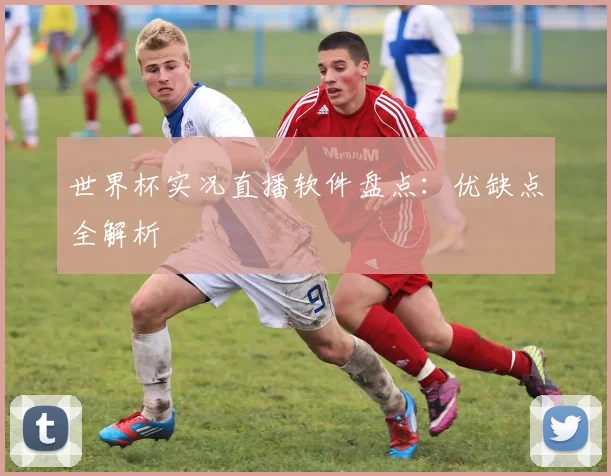 世界杯实况直播软件盘点:优缺点全解析